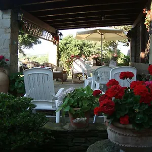 Solmar Apartamento Palmadula